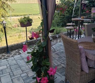 Castelvetro di Modena Bed & Breakfast | BB Lady