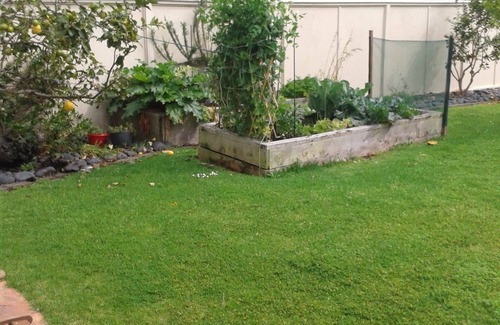 One Tree Point Apartment | Beach Studio with King size bed, a bathroom and kitchen, off street parking