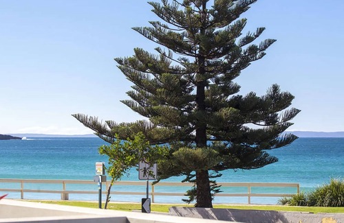 Mollymook Apartment | Beachfront 2 - Steps away from the prestine waters of Mollymook Beach