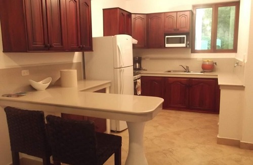 Canoa Condo | Beachfront Condo; Infinity Pool; 2 Bdrm ;2 Bath; Plus Gorgeous Views