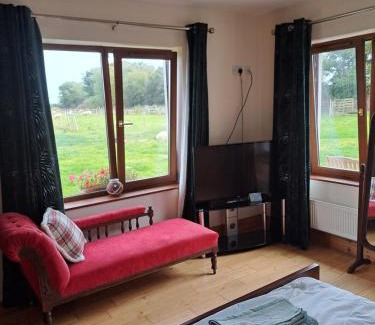 Garryvoe House | Beachmount house