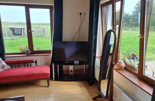 Garryvoe House | Beachmount house