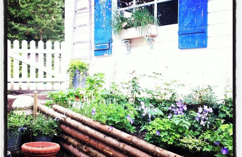 Waidring House | Bear Creek Cottage: Iydillic cabin in the woods perfect for family & fur babies