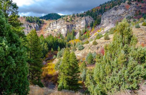 Fish Haven House | Bear Lake Vacation Station