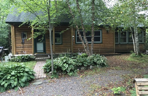 Ladysmith Cabin | Bearadise On the Thornapple River