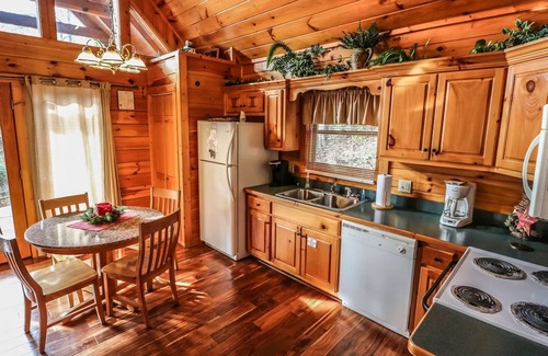 Black Bear Falls Cabin | " Beary Cozy Cabin "