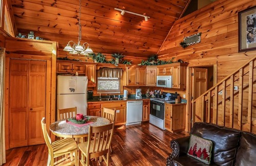 Black Bear Falls Cabin | " Beary Cozy Cabin "