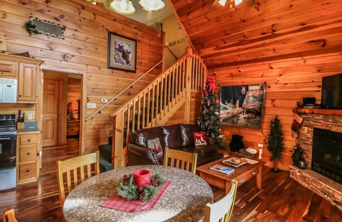 Black Bear Falls Cabin | " Beary Cozy Cabin "