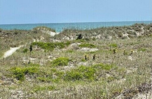 Topsail Beach House | Beatrice's Bungalow - Topsail Beach