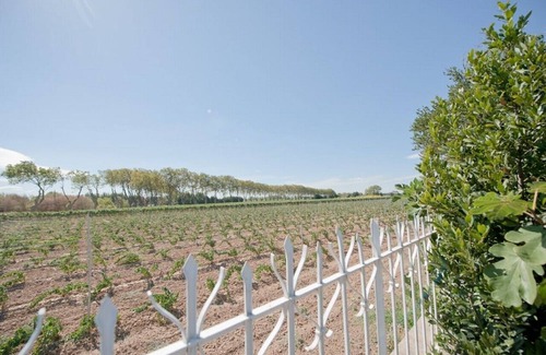 Raissac-d'Aude Apartment | Beautiful 2 bedroom apartment near Narbonne