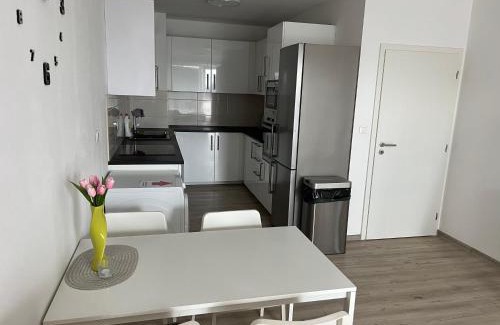 Prostejov Apartment | Beautiful 2 Bedroom Apartment
