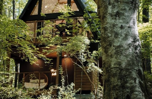 Abbeville Cottage | Beautiful A frame Nestled Among the Trees