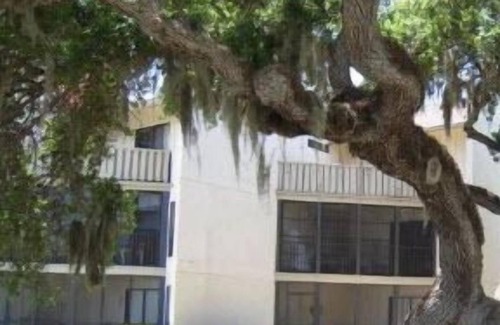 Siesta Key Condo | Beautiful, Affordable, Close to famous Siesta Beach.