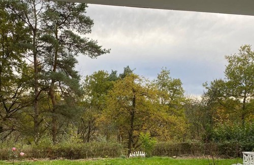 Dillenburg Condo | Beautiful apartment with forest view in Dillenburg