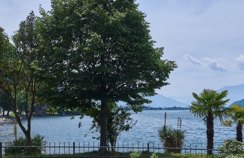 Verceia Apartment | Beautiful apartment for 6 people with TV, patio, pets allowed and parking