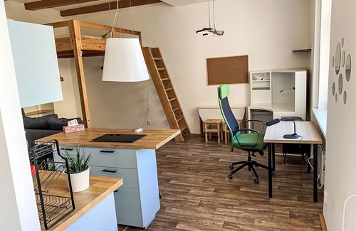 Holesovice Apartment | Beautiful apartment for 2 people with WIFI and pets allowed