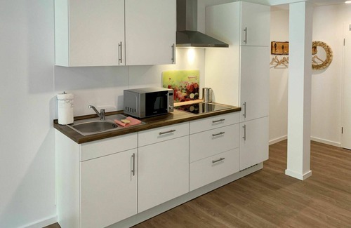 Eversmeer Apartment | Beautiful apartment for 3 guests with WIFI, TV, terrace and pets allowed
