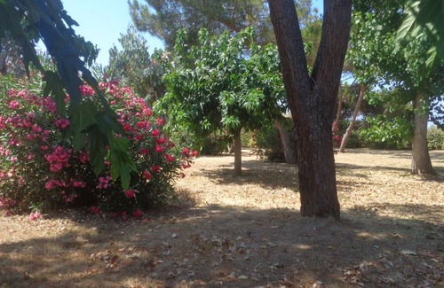 Calcatoggio Apartment | Beautiful beachfront apartment in Liscia