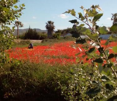 Benissa Bed & Breakfast | Beautiful Benissa Views