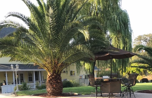 Columbia House | Beautiful Bethel Retreat LUXURY home ~ Very close Bethel only one mile away❤️