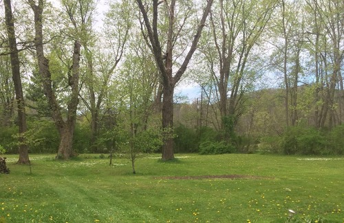 Mill Hall Cottage | Beautiful Creek Side Home Along Bald Eagle Creek, Mill Hall, PA