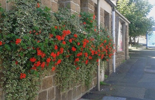 Noues de Sienne House | Beautiful Maison De Maitre in heart of pretty village