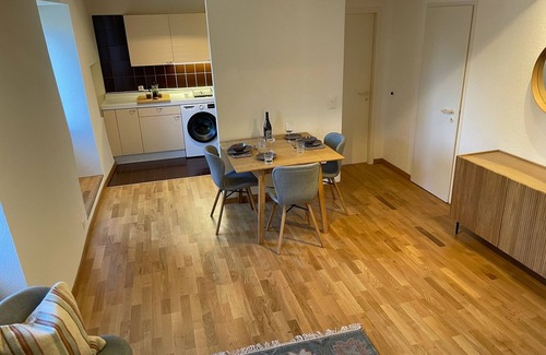 Petit-Saconnex / Servette Apartment | Beautiful heritage 1 bedroom apartment