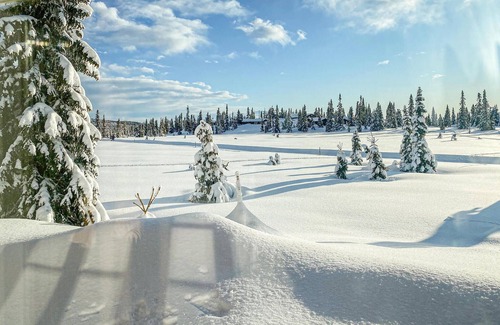Sjusjoen House | Beautiful home in Sjusjoen