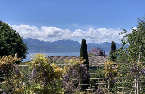 Villette House | Beautiful modern house, Lutry Lavaux, incredible garden