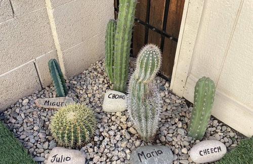 Security Acres House | BEAUTIFUL OLD TOWN SCOTTSDALE n2 BEDROOM TOWNHOME