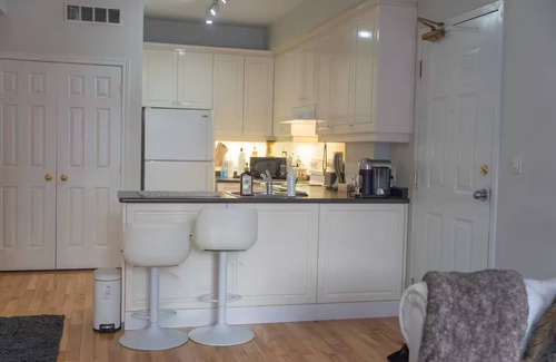 Church and Wellesley Condo | Beautiful Petit Gem Ap. In Downtown! Walk Anywhere