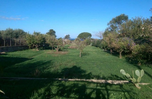 Terrasini Villa | Beautiful property with organic land near the sea