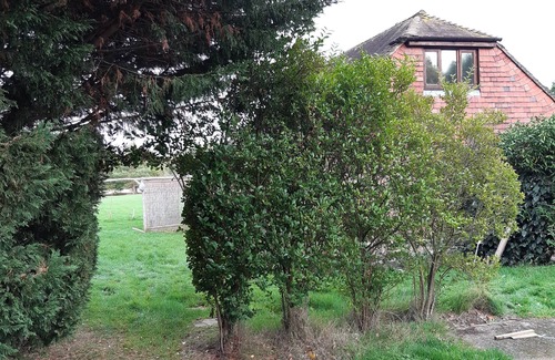 Abbess Roding Cottage | Beautiful rural location, cosy detached1 bed home sleeps 1-4, garden and views.