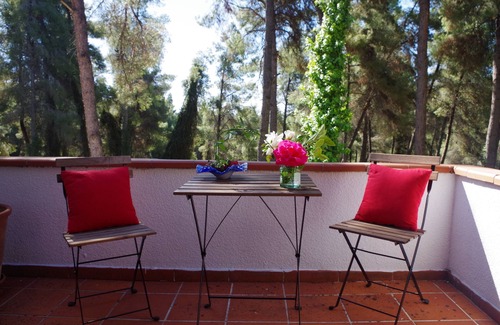Kassandra House | Beautiful summerhouse in Sani's pine forest