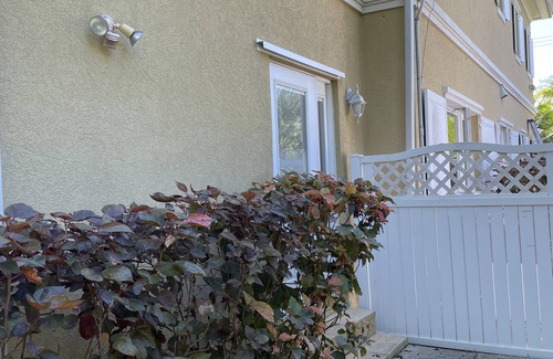 George Town Apartment | Beautiful Tree Frog Apartment! - South Sound - 5 min walk to Smith Cove