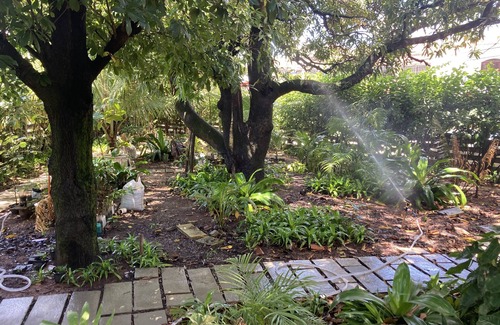 Maria Farinha House | Beautiful tropical garden seconds to the beach