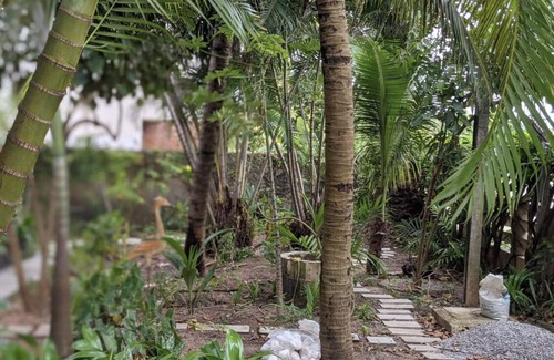 Maria Farinha House | Beautiful tropical garden seconds to the beach