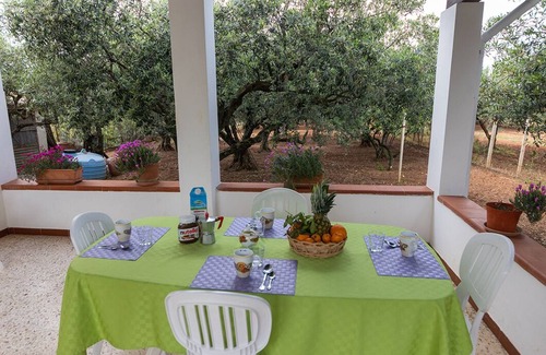 Balestrate Villa | Beautiful Villa Francesca between Olives trees and garden, sea view, wifi free.