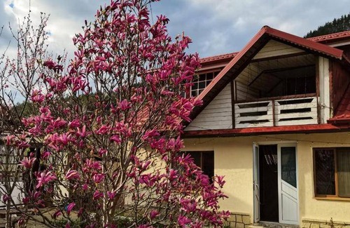 Tirgu Ocna Bed & Breakfast | Bed and breakfast ∙ 2 bedrooms ∙ 6 guests