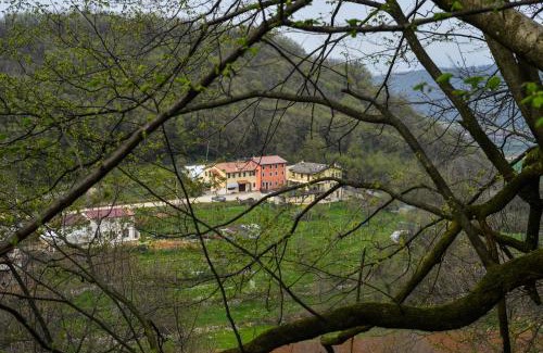 Arcugnano Bed & Breakfast | Bed and Breakfast La Quiete