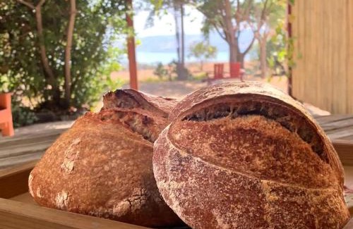 Korazim House | Bed & Bread