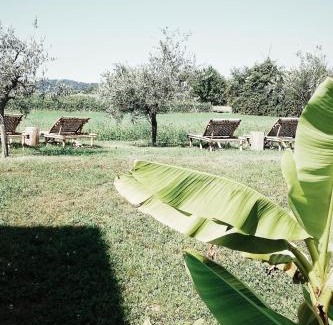 Monte Bed & Breakfast | Bed & Breakfast IL PAJO