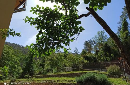 Casarza Ligure Bed & Breakfast | Bed & Breakfast Le cicale e la formica