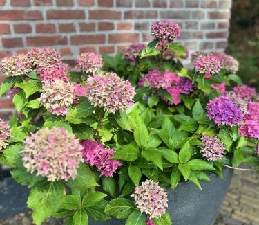 Municipality of Enschede House | Bed & Breakfast Twekkelo