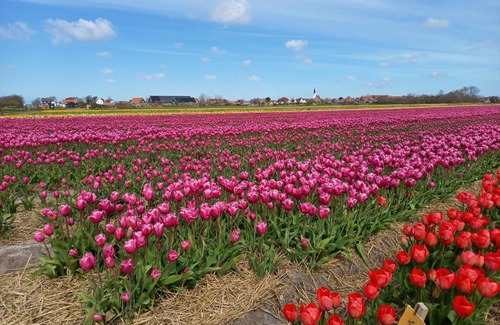 Den Hoorn Bed & Breakfast | Bed en Breakfast kamers en meer Het Spookhuis