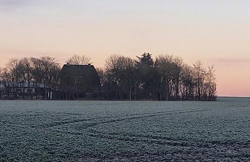Nørre Sejerslev Bed & Breakfast | Bed & Kitchen „Den gamle Skole“ Nr. Sejerslev