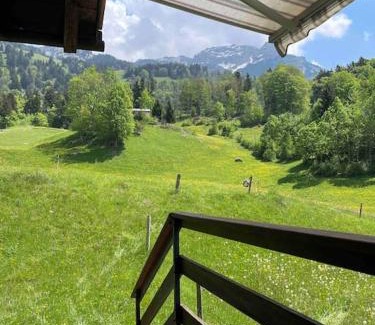 Netstal Apartment | Behagliches Chalet mit Kaminofen umgeben von Natur