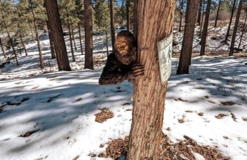 Meadowbrook Estates House | Bel Air of Big Bear - Fun & Tech & Massive Cabin