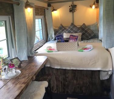 Llanidloes Cabin | Belan Bluebell Woods Shepherds Hut