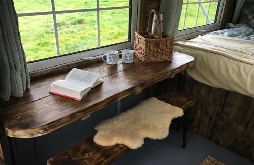 Llanidloes Cabin | Belan Bluebell Woods Shepherds Hut